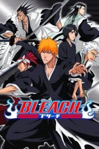 Bleach (2004)